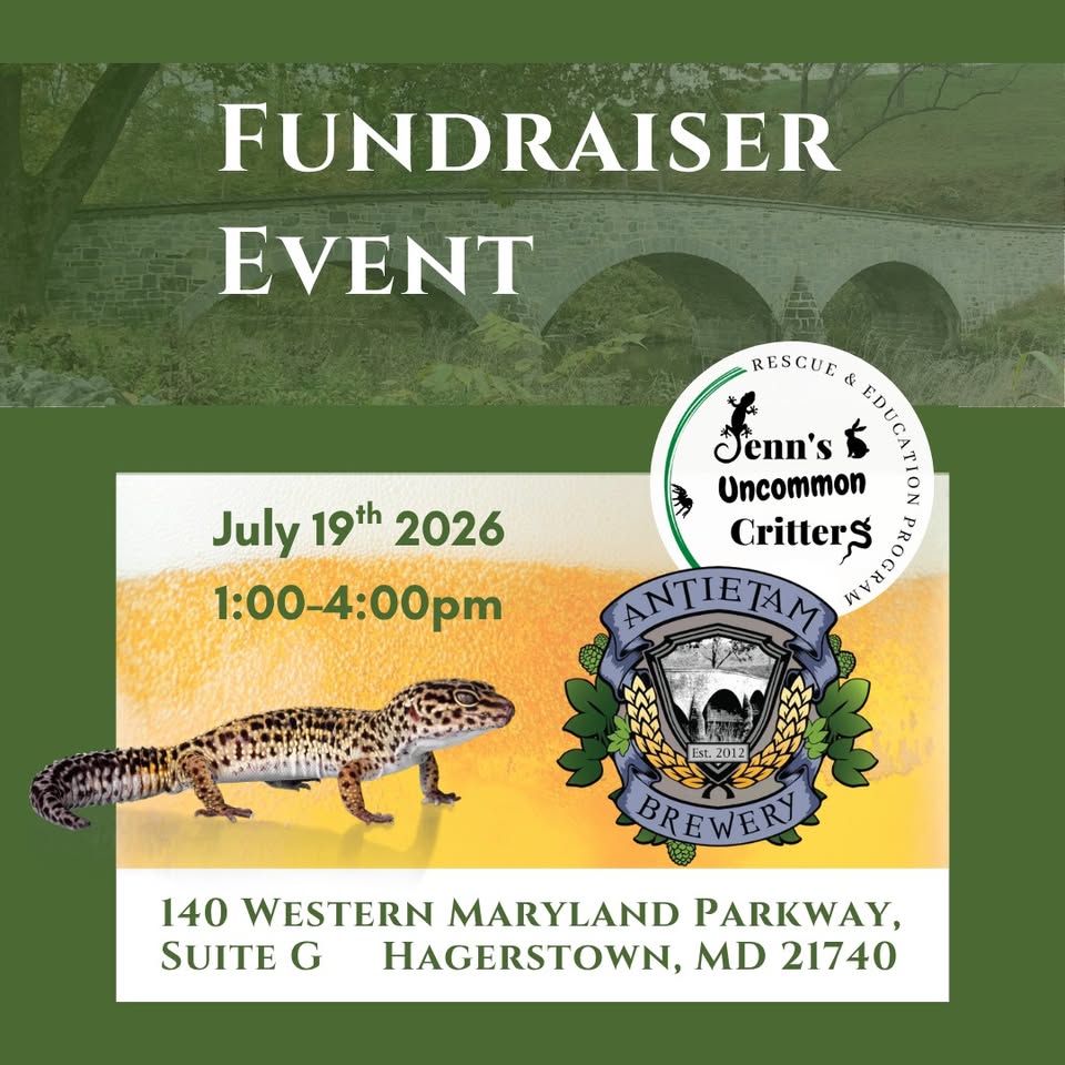 Jenn's Uncommon Critters (JUC) fundraiser at Antietam Brewery — event flyer